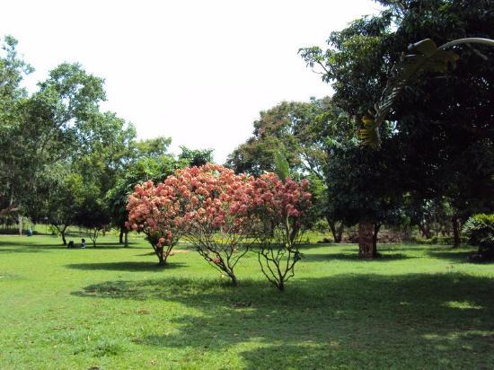 Biju Patnaik Park